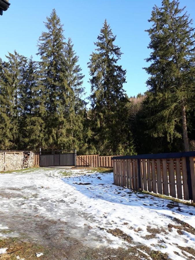 Ozdoba Villa Verhovina Kültér fotó