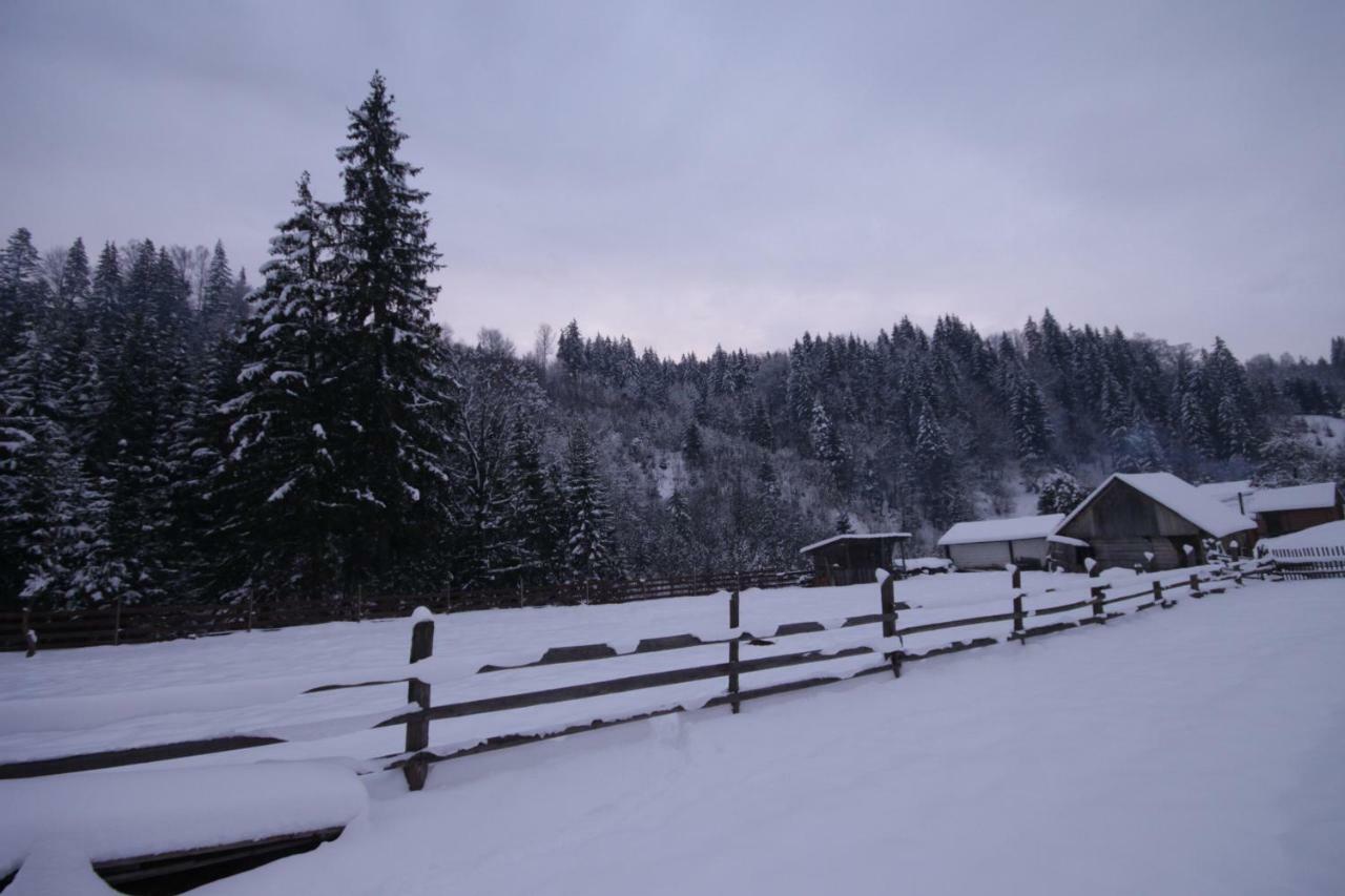 Ozdoba Villa Verhovina Kültér fotó